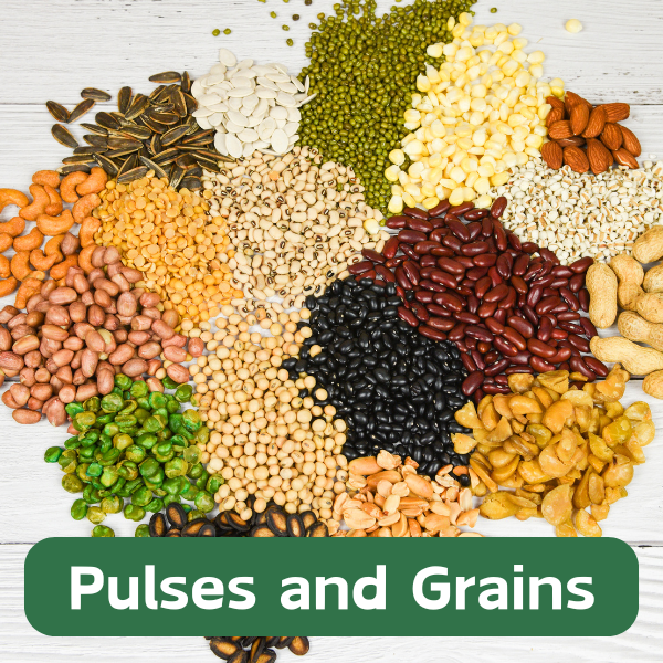 Pulses and Grains
