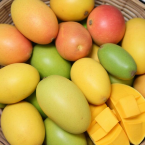 Combo 1 – Mango Variety Pack