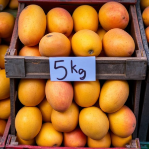 Combo 2 – Kesar Mango Special